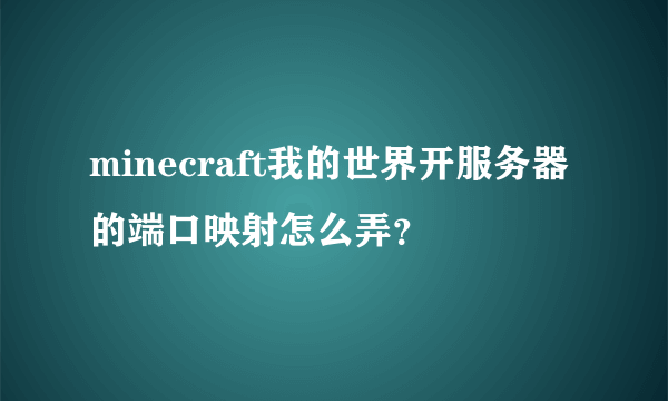 minecraft我的世界开服务器的端口映射怎么弄？