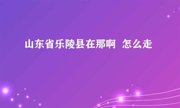 山东省乐陵县在那啊  怎么走