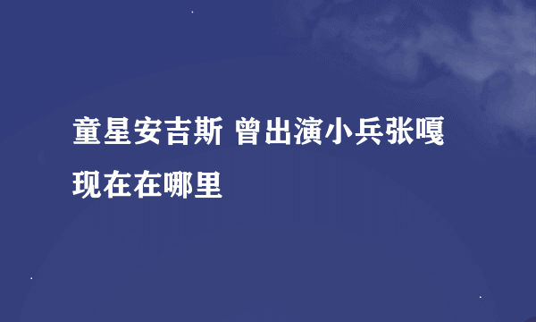 童星安吉斯 曾出演小兵张嘎 现在在哪里