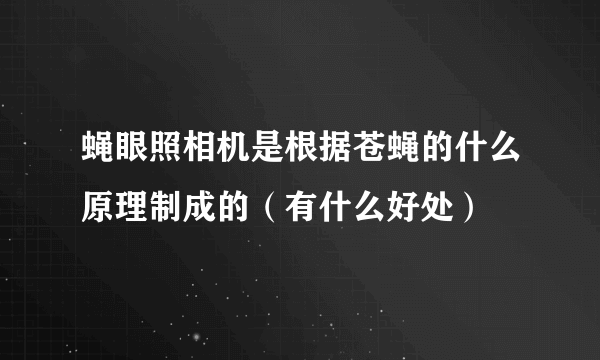 蝇眼照相机是根据苍蝇的什么原理制成的（有什么好处）