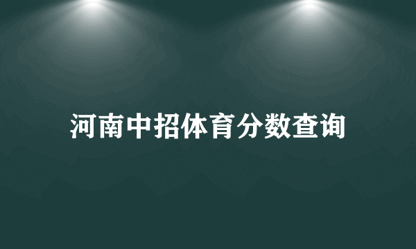 河南中招体育分数查询