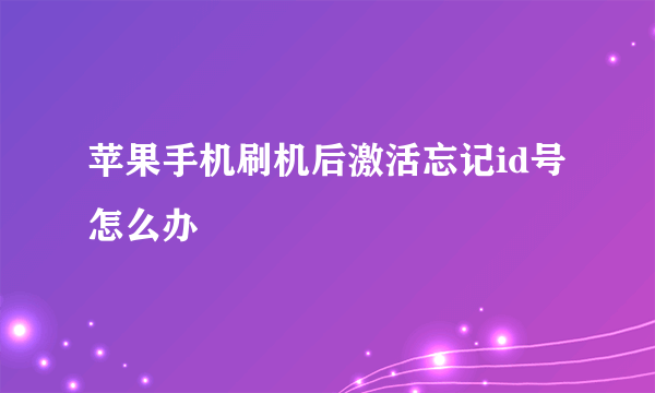 苹果手机刷机后激活忘记id号怎么办