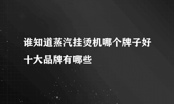 谁知道蒸汽挂烫机哪个牌子好十大品牌有哪些