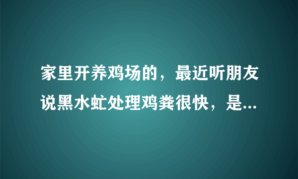 家里开养鸡场的，最近听朋友说黑水虻处理鸡粪很快，是不是骗人的？