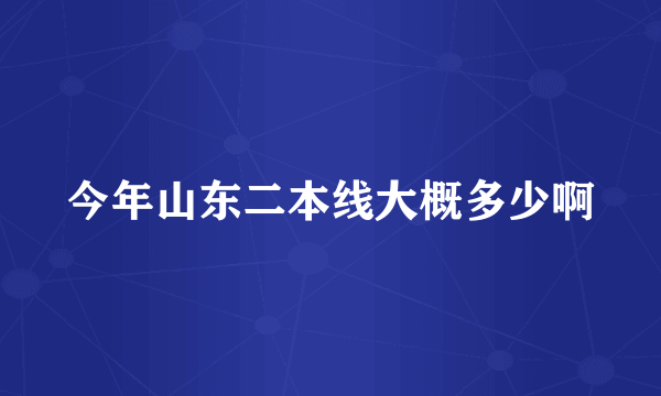 今年山东二本线大概多少啊