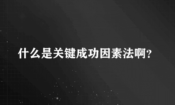 什么是关键成功因素法啊？